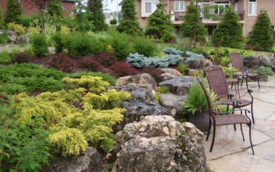 Rock garden with plants